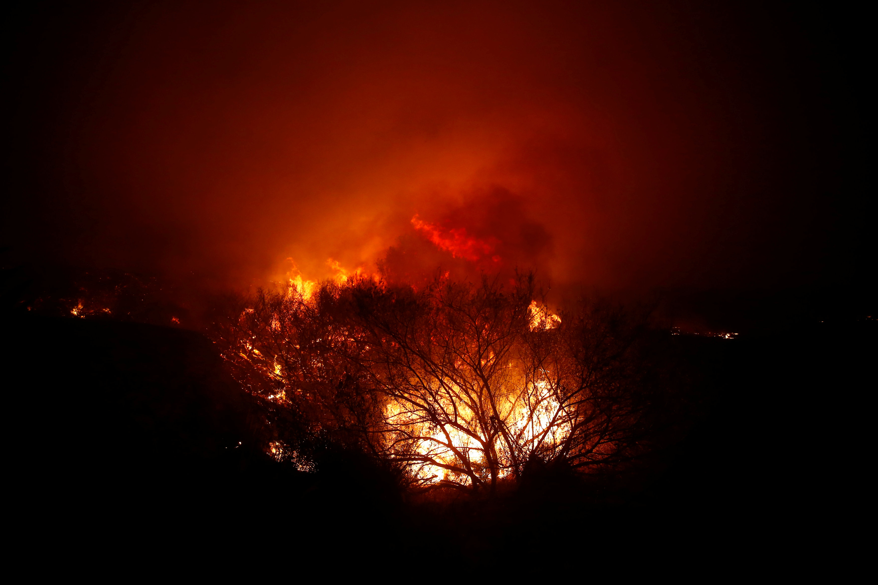 824503-حرائق-الغابات-فى-كاليفورنيا-(12)