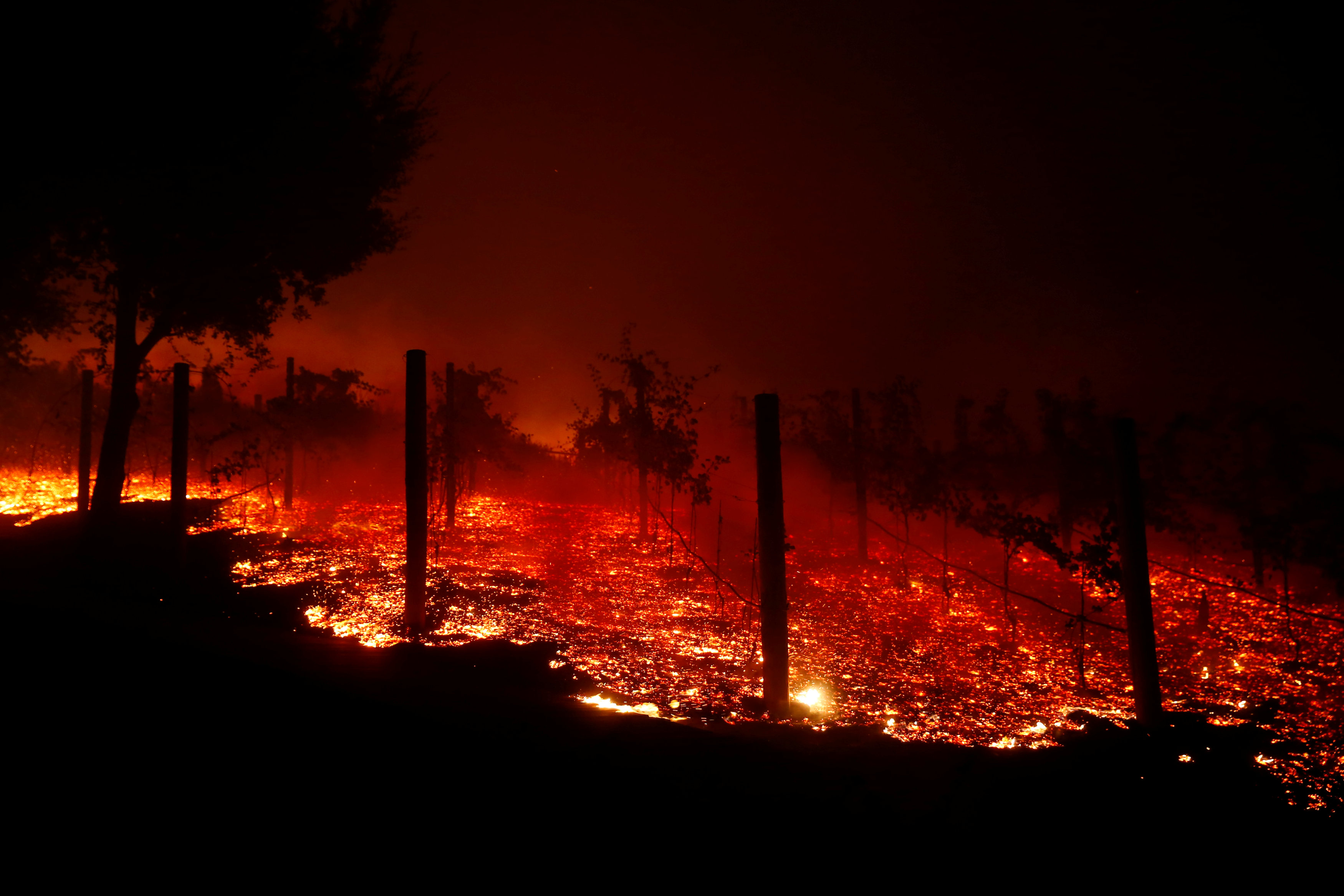 970280-حرائق-الغابات-فى-كاليفورنيا-(4)