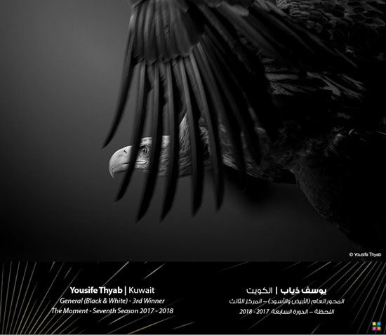 35080-صور-جائزة-دبي-للتصوير-الضوئى-(17)