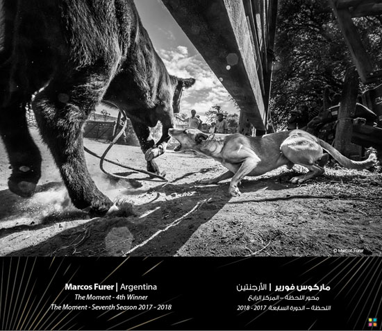 87591-صور-جائزة-دبي-للتصوير-الضوئى-(5)