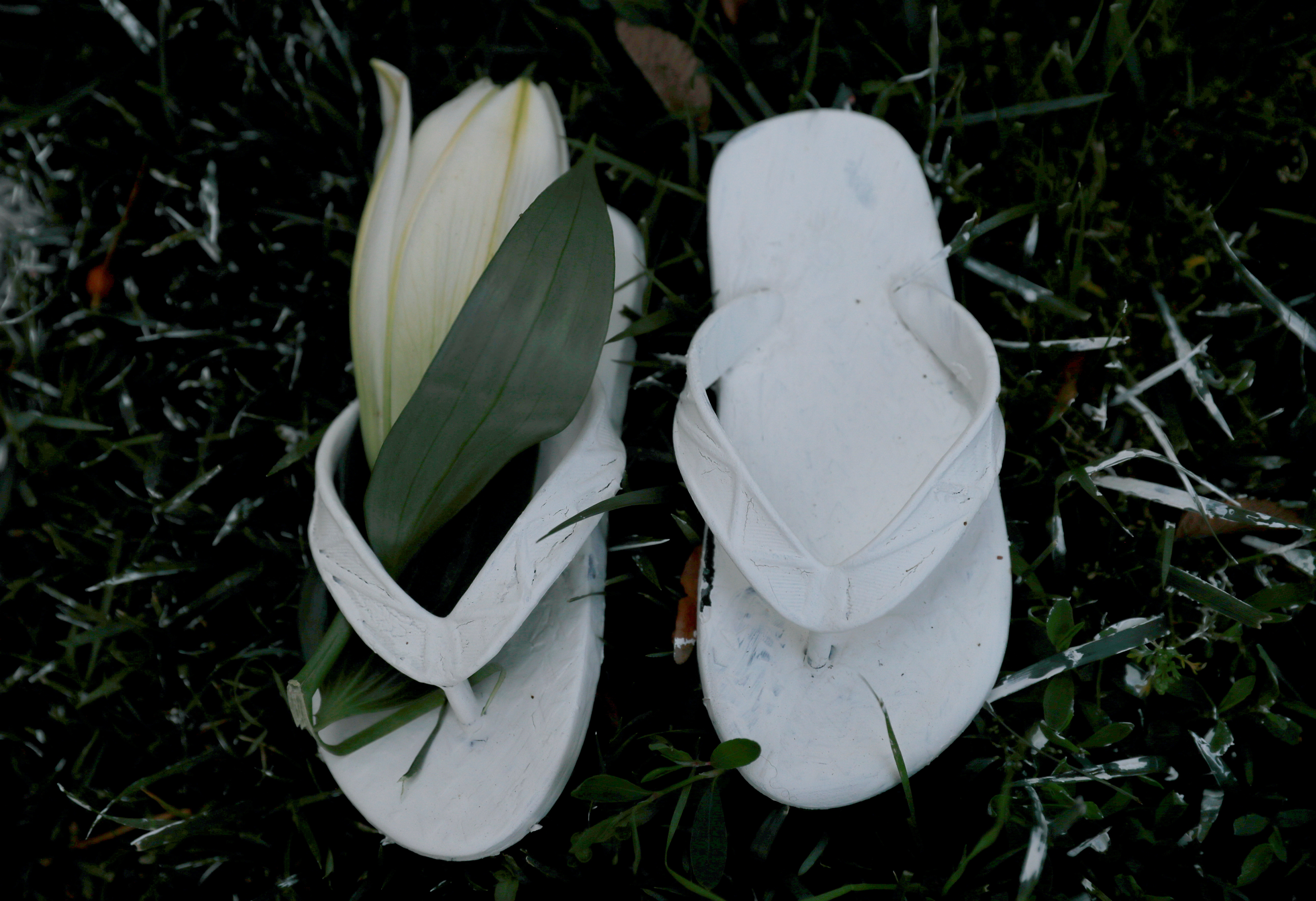 6193151-الزهور-على-أحد-الأحذية-لتكريم-أرواح-الشهداء