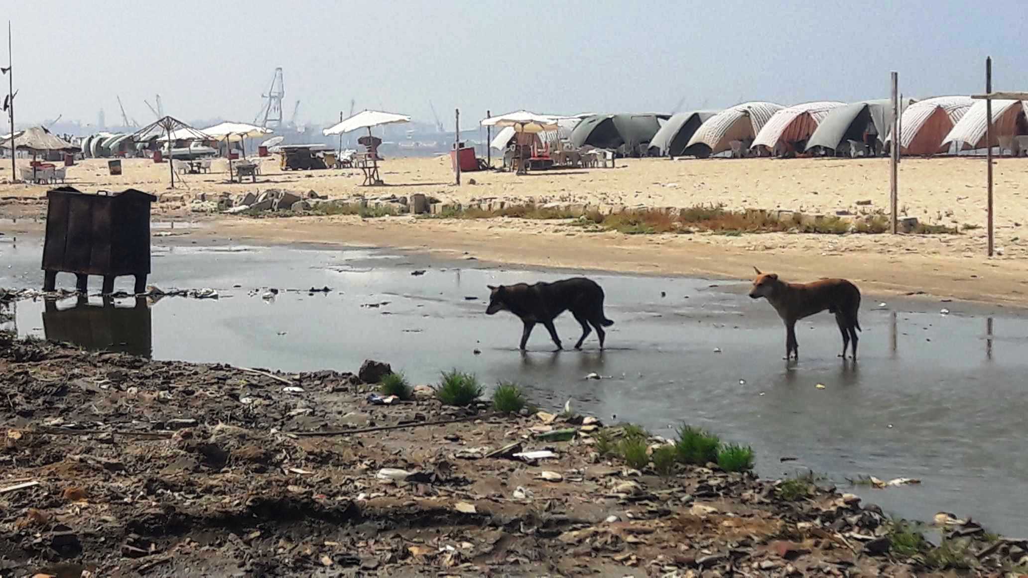 أضبط مخالفة  كارثة  مياه المجارى تصب فى شاطئ بورفؤاد ...