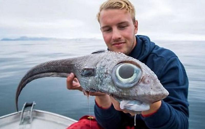 rybak-vylovil-lupoglazuyu-rybinu-u-poberezhja-norvezhskogo-ostrova-foto-big
