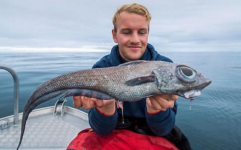 rybak-vylovil-lupoglazuyu-rybinu-u-poberezhja-norvezhskogo-ostrova-foto1-big
