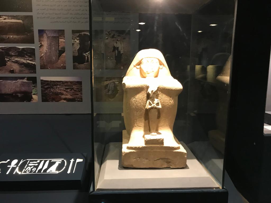متحف طنطا (2)