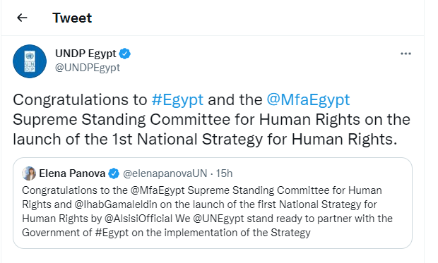 برنامج الأمم المتحدة الإنمائي في مصر