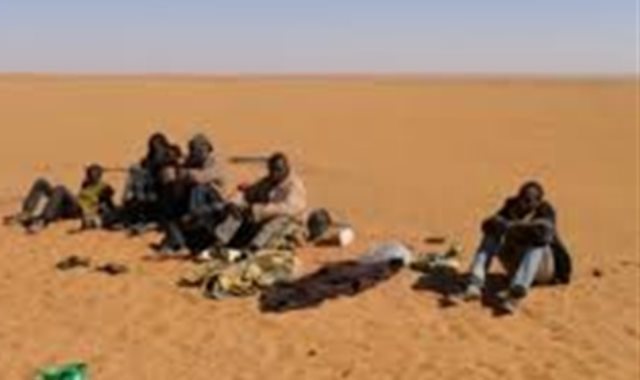 صحراء النيجر