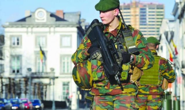 الجيش البلجيكي 