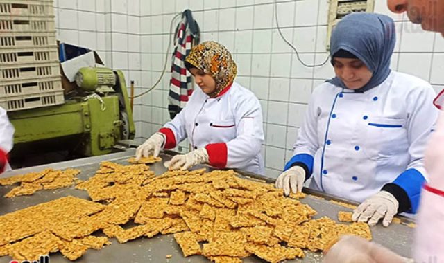  تصنيع حلوى المولد بالإسكندرية