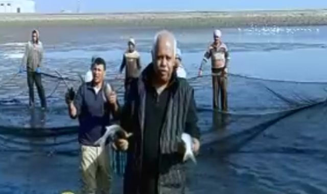 حمدى رزق يرافق العاملين ببركة غليون موسم حصاد الأسماك