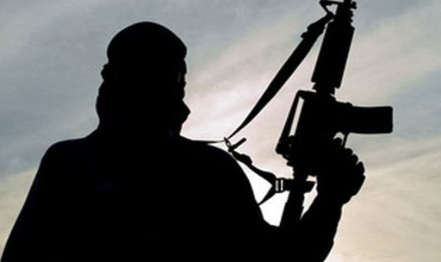تنظيمات إرهابية تهدد منشآت حكومية أمريكية فى كنيشاسا