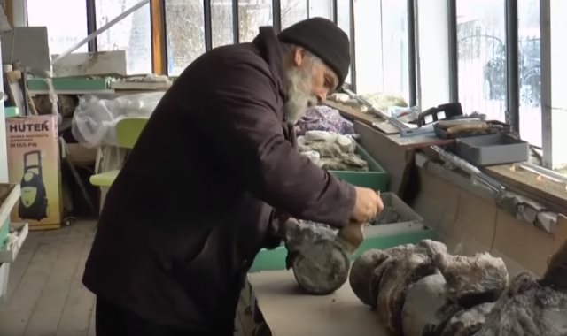 اكتشاف علماء الأحياء القديمة فى روسيا ديناصور جديد