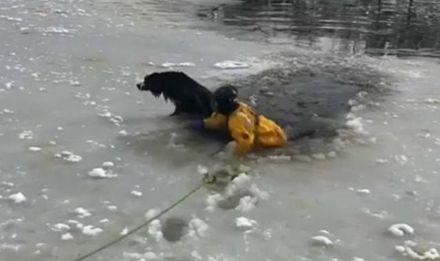  إنقاذ كلب من الجليد
