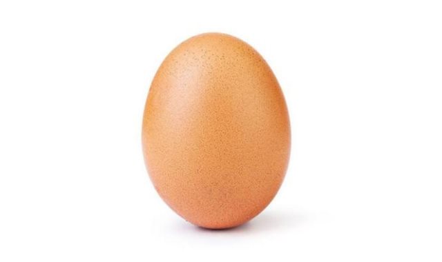بيضة 