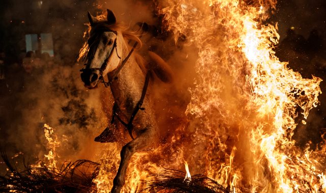 مهرجان قفز الخيول بإسبانيا