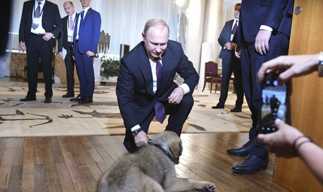 هدية رئيس صربيا للرئيس الروسى بوتين 