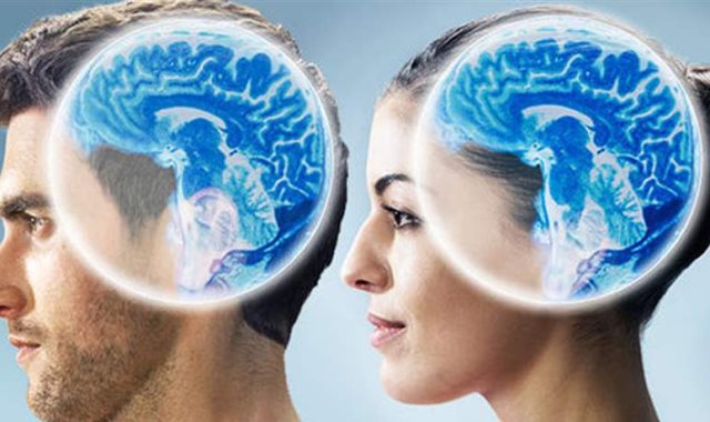 دماغ المرأة والرجل