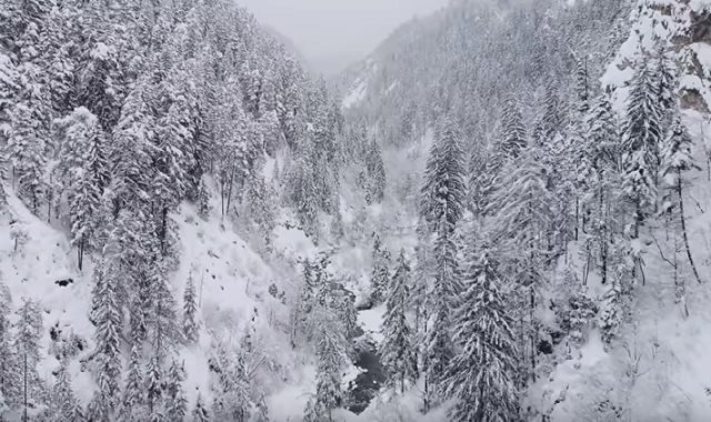 الانهيار الثلجي بجبال سويسرا