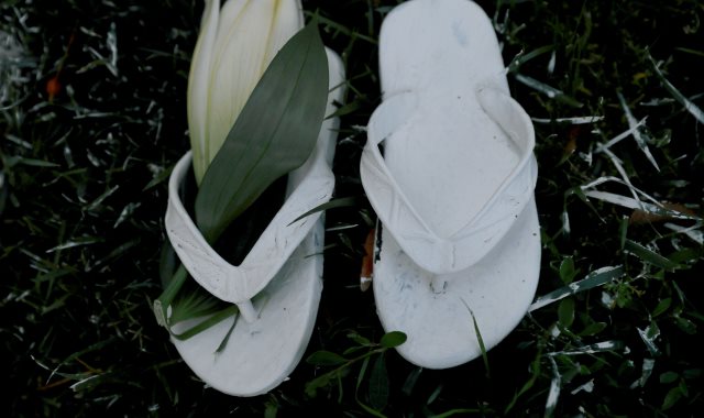 الزهور على أحد الأحذية لتكريم أرواح الشهداء