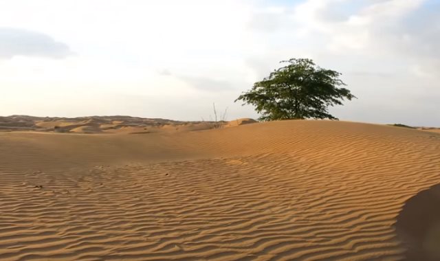 صحراء الإمارات