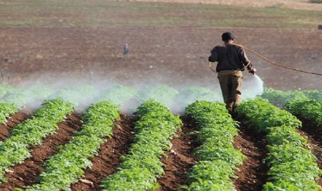  نصائح وزارة الزراعة للفلاحين للاستخدام الآمن للمبيدات
