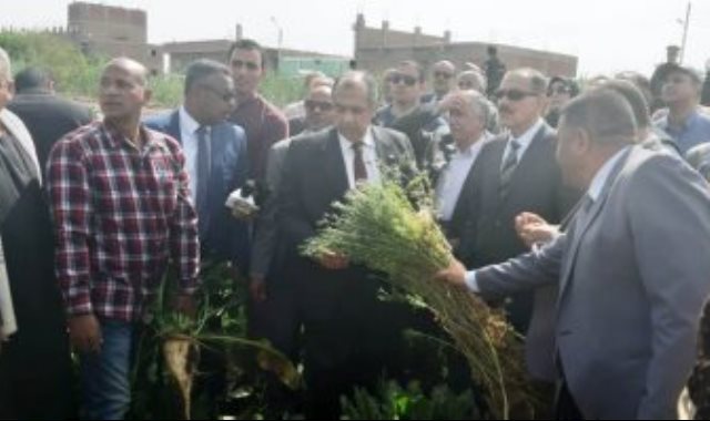 وزير الزراعة ومحافظ أسيوط يتفقدان حقل إرشادى منزرع بمحصول القمح