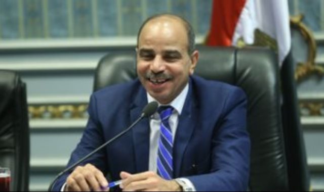 النائب هشام الشعينى رئيس لجنة الزراعة والرى بالبرلمان