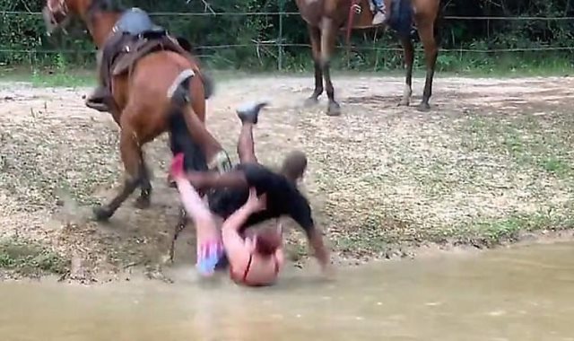 حصان يلقى سياح على الأرض