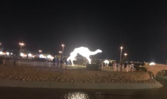 أكبر مجسم هجن بالعالم فى السعودية