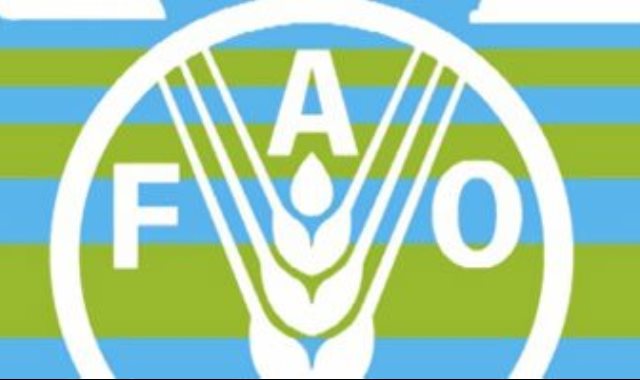 منظمة الأغذية والزراعة "فاو"