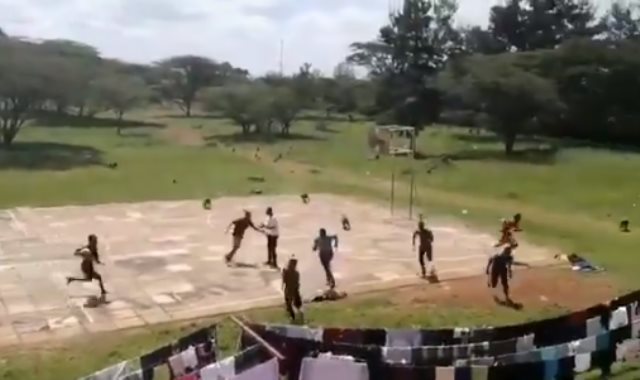 قطيع من القردة يهاجم طلاب يلعبون كرة السلة فى كينيا 