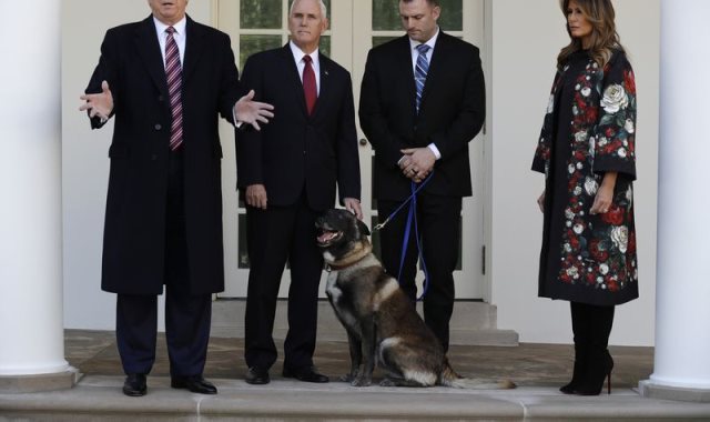 ترامب يستقبل الكلب "كونان" بطل عملية قتل البغدادى
