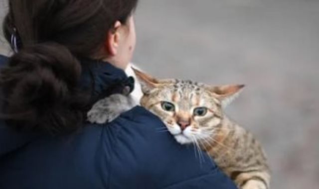 أوكرانية تحمل قطتها