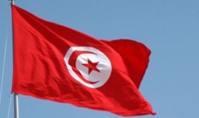 الاستفتاء فى تونس - أرشيفية