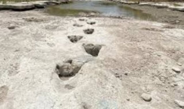 اثار الديناصور بعد جفاف النهر