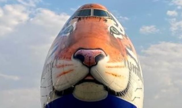 طائرة تنقل الفهود إلى الهند