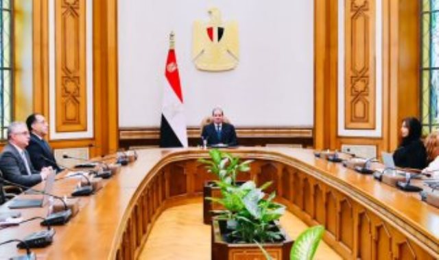 لقاء الرئيس السيسي ورئيس موانيء أبوظبي