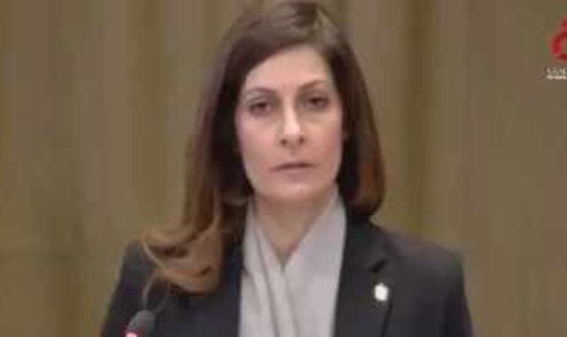 ممثلة مصر أمام محكمة العدل الدولية