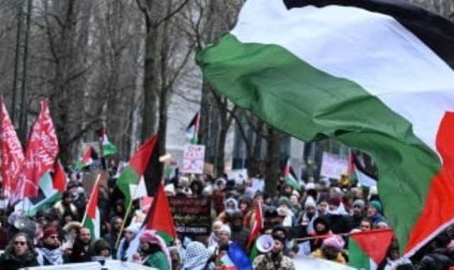 مظاهرات دعم فلسطين - أرشيفية مظاهرات دعم فلسطين - أرشيفية