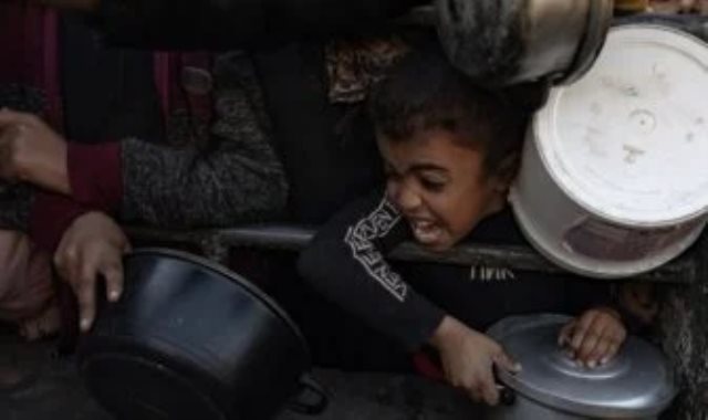 المجاعة فى غزة _ أرشيفية المجاعة فى غزة _ أرشيفية