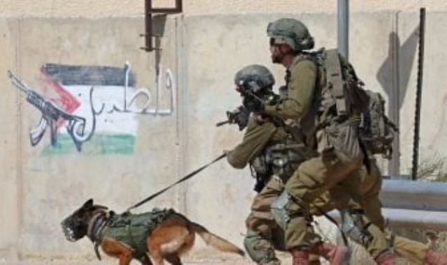 قوات الاحتلال الإسرائيلي تعتقل 4 فلسطينيين من نابلس - أرشيفية