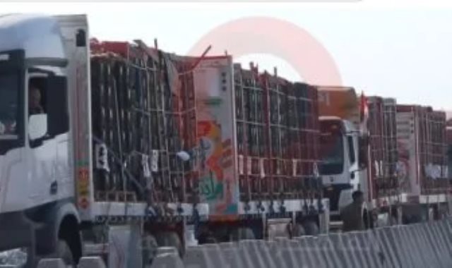 المساعدات الانسانية المساعدات الانسانية