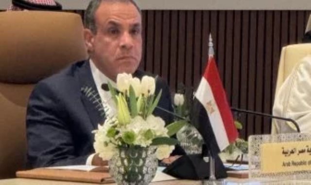 وزير الخارجية بدر عبد العاطي