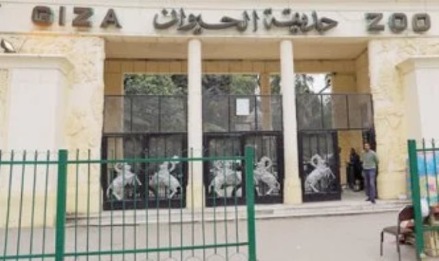 حديقة الحيوان - أرشيفية حديقة الحيوان - أرشيفية