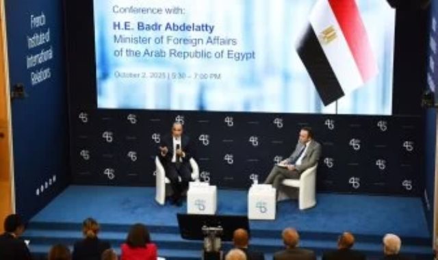 بدر عبد العاطى وزير الخارجية