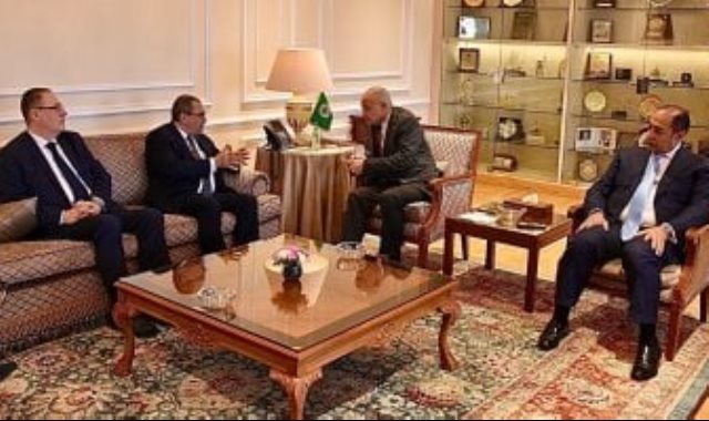 أبو الغيط يؤكد أهمية مواصلة الجهود لوقف إطلاق النار بغزة