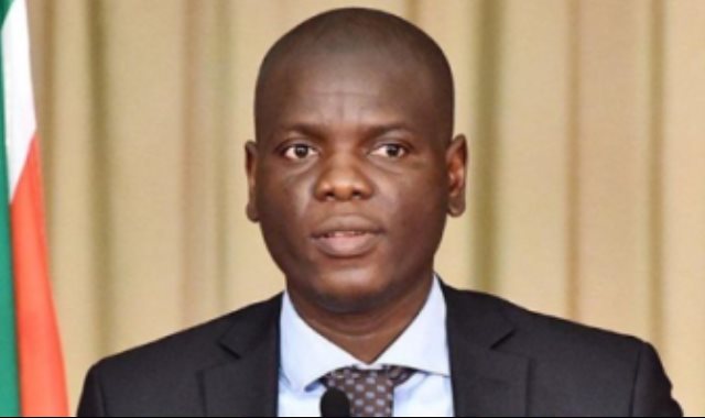 وزير خارجية جنوب إفريقيا رونالد لامولا