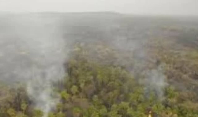 المخاطر البيئية تهدد غابات الأمازون