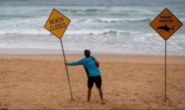 اغلاق شاطئ فى سيدني بعد هجوم قرش