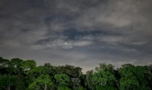 غابات الأمازون